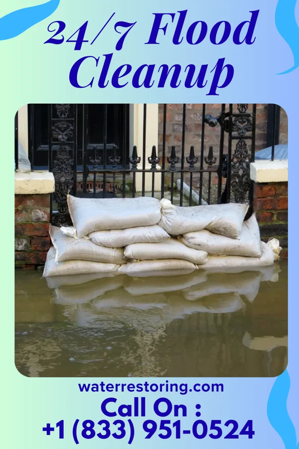 24/7 Flood Cleanup in Lexington, MN