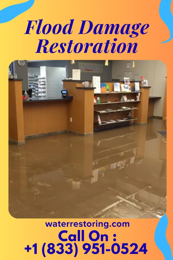 Flood Damage Restoration in Lexington, MN