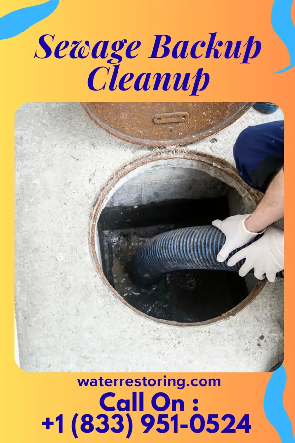 Sewage Backup Cleanup in Lexington, MN